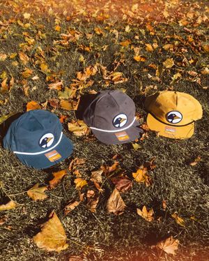 Image post by @penguinlax on Instagram