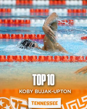 Image post by @vol_swimdive on Instagram