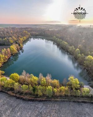 Image post by @brothercarp on Instagram