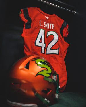 Image post by @uflseadragons on Instagram