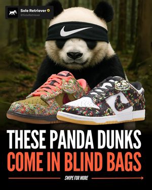 Image post by @soleretriever on Instagram
