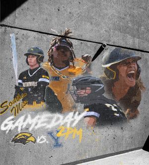 Image post by @SouthernMissSB on Twitter