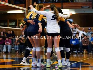 Image post by @ucsc_wvb on Instagram