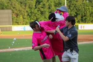 Image post by @floflamingos on Instagram