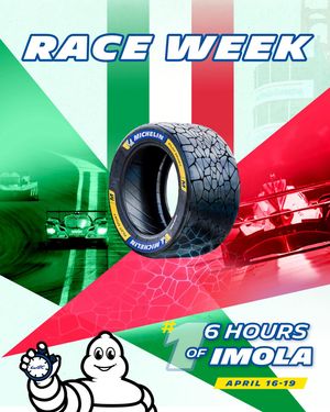 Image post by @michelinmotorsport on Instagram
