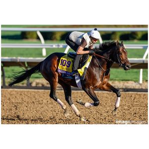 Image post by @davidfrerkersportsphotography on Instagram