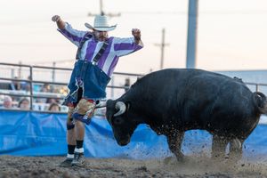 Image post by @ultimatebullfighters on Instagram