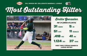 Image post by @ripkenleague on Instagram