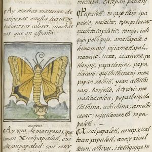 Image post by @gettymuseum on Instagram