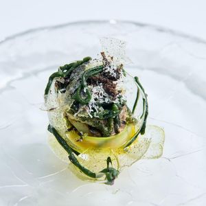 Image post by @waldorfamsterdam on Instagram