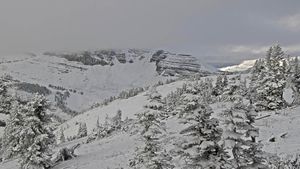 Image post by @jhski on Twitter