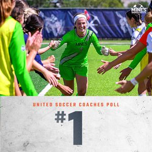 Image post by @mineswsoc on Twitter