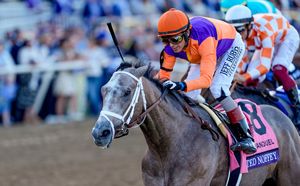 Image post by @breederscup on Instagram