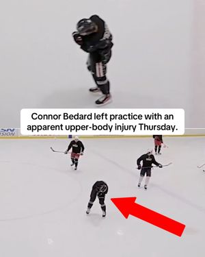 Video post by @espnnhl on TikTok