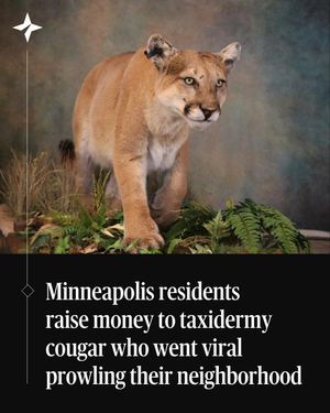 Image post by @startribune on Instagram