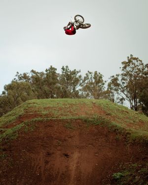 Image post by @tylerbereman on Instagram