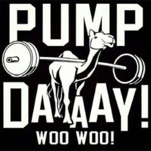 Image post by @repfitnessequipment on Instagram