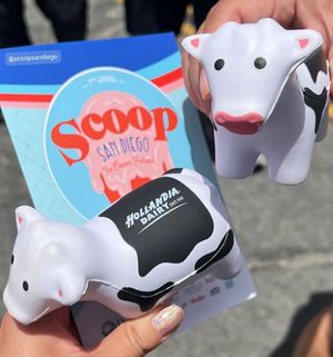 Image post by @ScoopSanDiego on Facebook