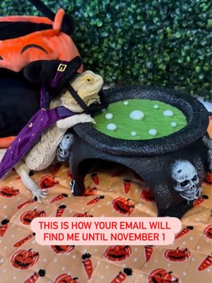 Image post by @petsmart on Instagram