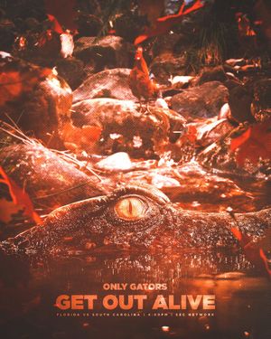 Image post by @GatorsFB on Twitter