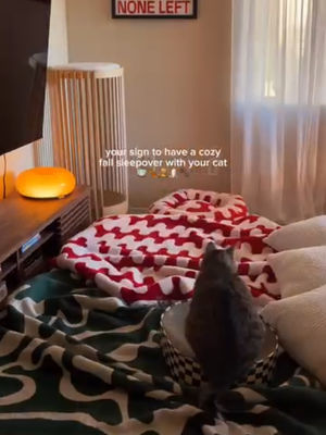 Video post by @wayfair on TikTok