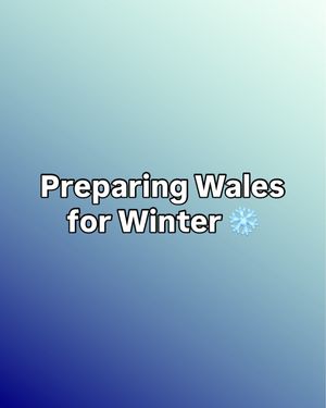 Image post by @welshgovernment on Instagram