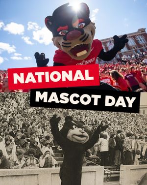 Image post by @uofcincy on Instagram