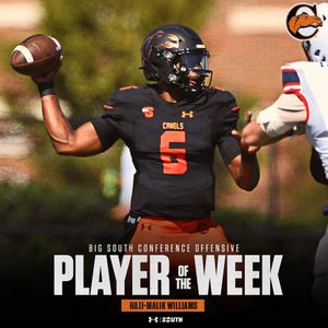 Image post by @gocamelsfb on Instagram