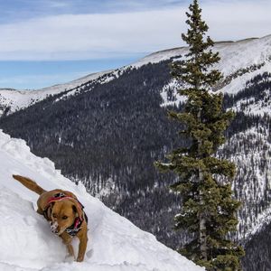 Image post by @skitaos on Instagram