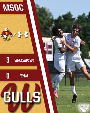 Image post by @suseagulls on Instagram