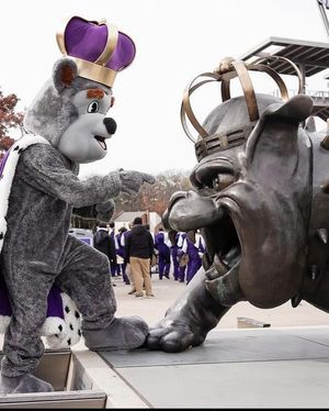 Image post by @barstooljmu on Instagram