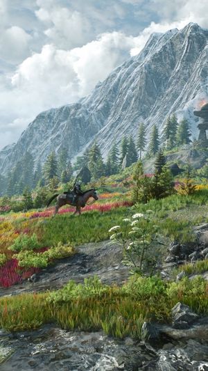 Video post by @thewitcher on Instagram