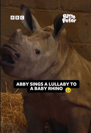 Video post by @cbbc on TikTok