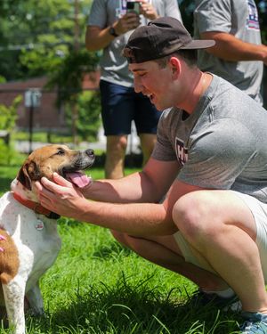 Image post by @swbrailriders on Instagram