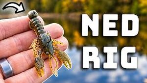 Video post by @tylersreelfishing on YouTube