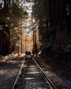 Image post by @skunktrain on Instagram