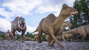 Video post by @bbcearth on YouTube