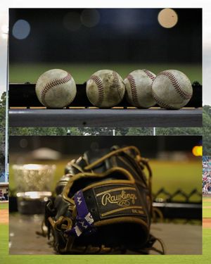 Image post by @ilmsharks on Instagram
