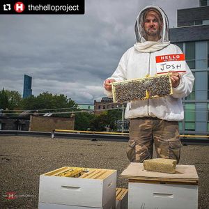 Image post by @impactkitchen on Instagram