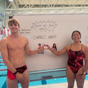 Image post by @terrierswimdive on Instagram