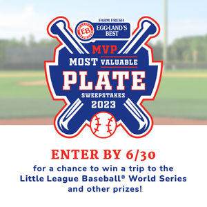 Image post by @littleleague on Instagram