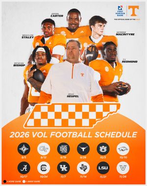 Image post by @vol_network on Instagram