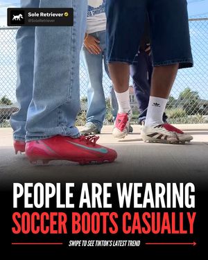 Image post by @soleretriever on Instagram