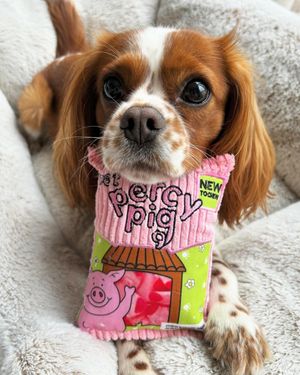 Image post by @official_percypig on Instagram