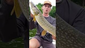 Video post by @daltonmauldin5 on YouTube