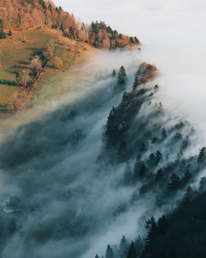 Image post by @vsco on Instagram