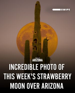 Image post by @welcometoarizona on Instagram