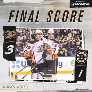 Image post by @anaheimducks on Instagram