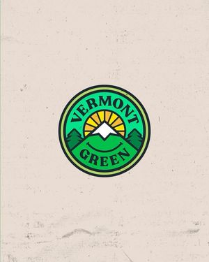 Image post by @vermontgreenfc on Instagram