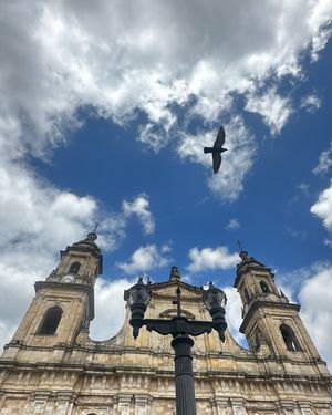 Image post by @felipecalecalero on Instagram
